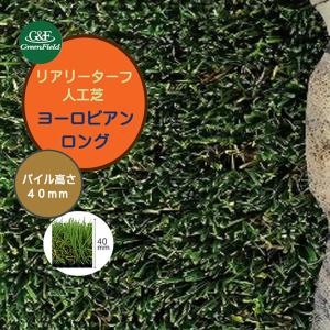 人工芝 リアリーターフ ヨーロピアンロング１Ｍ×１０Ｍ パイル長４０mm 抗菌 防炎 静電気抑制 防カビ 消臭 Ｃ型パイル 人工芝 芝生 人工芝生 ロール 送料無料