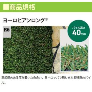 人工芝 リアリーターフ ヨーロピアンロング1M...の詳細画像1