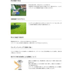 人工芝 リアリーターフ ヨーロピアンロング1M...の詳細画像4