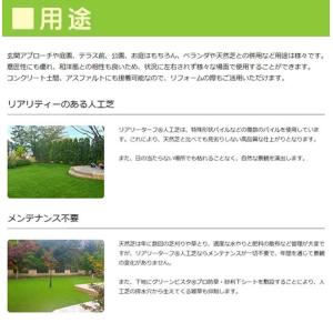 人工芝 リアリーターフ ヨーロピアンロング1M...の詳細画像5