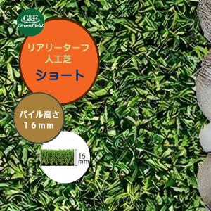 人工芝 リアリーターフ ショート ２Ｍ×５Ｍ パイル長１６mm 抗菌 防炎 静電気抑制 防カビ 消臭 Ｃ型パイル 人工芝 芝生 人工芝生 ロール 送料無料
