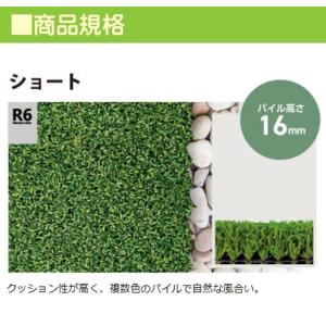 人工芝 リアリーターフ ショート 2M×5M ...の詳細画像1