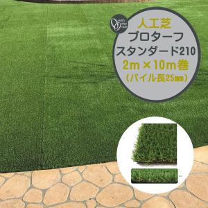 人工芝 プロターフ・スタンダード ２１０ 抗菌 ２Ｍ×１０Ｍ パイル長２５mm 戸建て マンション 人工芝 芝生 人工芝生 ロール オンリーワン 送料無料