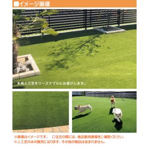 人工芝 プロターフ・プレミアム 210 抗菌 ...の詳細画像1