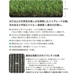 人工芝 プロターフ・プレミアム 210 抗菌 ...の詳細画像3