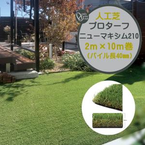 人工芝 プロターフ・ニューマキシム ２１０ 抗菌 高耐久 高密度 ２ Ｍ×１０Ｍ パイル長４０mm てかり軽減 人工芝 芝生 人工芝生 ロール オンリーワン 送料無料