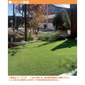人工芝 プロターフ・ニューマキシム 210 抗...の詳細画像1