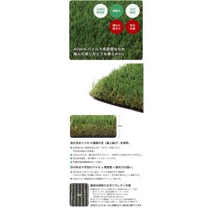 人工芝 プロターフ・ニューマキシム 210 抗...の詳細画像3