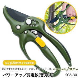 新品 日本製 憲賞 積層鋼 剪定鋏 200mm 桐箱入り ダマスカス 未使用 積層鋼 剪定鋏200mm 金止 オノテツ 日本製 高級感のある波紋のような