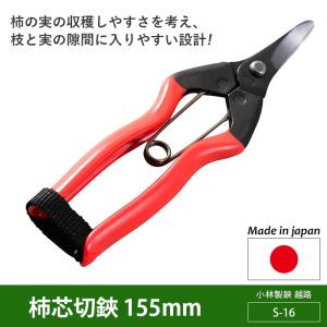 剪定ばさみ ガーデニング 柿芯切鋏 155mm(...の商品画像