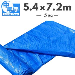 ブルーシート 10×10 2枚入り 厚手 ブルーシート ＃2200 中厚手 10×10 OTS 2枚/梱包 : ワークツールの袋屋