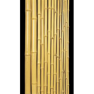 黒竹 2000×Φ20〜25mm 日本伝統 インテリア 工芸品 高級素材 耐久性 美