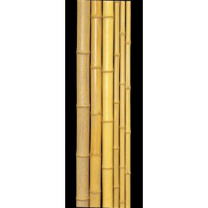 図面角竹 3950×Φ75〜90mm 日本の伝統 インテリア デザイン 自然素材