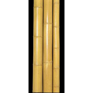 紋竹 2000×Φ21mm 日本の伝統 インテリアデザイン 自然素材 高級感 : 和