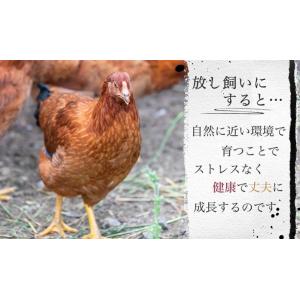 こだわり冷凍 白神特選 秋田比内地鶏やきとりセ...の詳細画像1