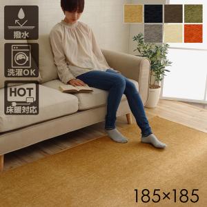 ラグ カーペット  絨毯　防ダニ  140*200cm 期間限定値下げしました。 サンゲツ（SANGETSU） ラグ 140×200cm 抗菌 防ダニ ホットカーペット