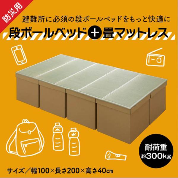 ベッド 防災段ボール畳ベッド 100x200cm 5連 簡単組立 畳マットレス 天然い草使用 対荷重...