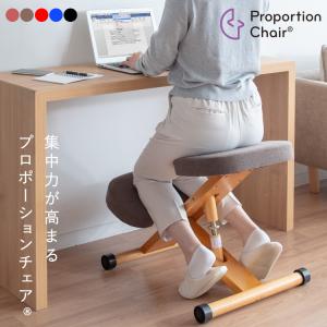 人気商品 弘益 スレッドチェア/バランスチェア/SLED-2 一般