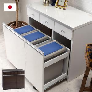キッチンカウンター 90 90cm 幅90 ゴミ箱 ごみ箱 ダストボックス
