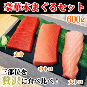 まぐろ マグロ 本まぐろ 3種 大トロ 中トロ 赤身 セット 解凍レシピ付き 豪華本まぐろ 600g 鮪 プレゼント イベント ギフト