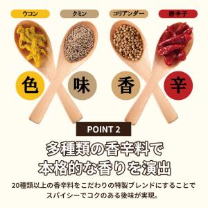 日本食研 カレー 食研カレー レトルトカレー ...の詳細画像3