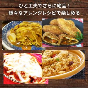日本食研 カレー 食研カレー レトルトカレー ...の詳細画像5