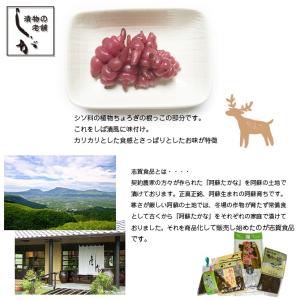 阿蘇のたかな漬け&熊本高菜ラーメンギフ...の詳細画像2