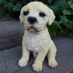 犬の置物 ダルメシアン いぬ イヌ 動物 T14070 オーナメント