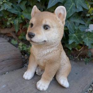 犬の置物 ダルメシアン いぬ イヌ 動物 T14070 オーナメント