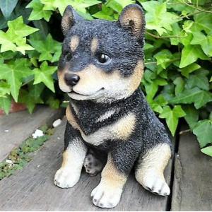 犬の置物 黒柴犬 子犬 １３１８４ いぬ イヌ 動物 オーナメント ガーデン インテリア 雑貨 置物...