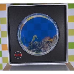 McCELLRIE マッコイ マクセリーシェイプ 250g 【正規品】 ボディジェル