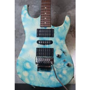 Steinberger Vintage Hard Case for GL スタインバーガー GL用 ハード