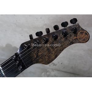 Valley Arts Custom Pro ...の詳細画像1