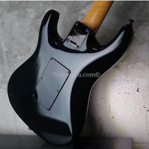 Valley Arts Custom Pro ...の詳細画像5