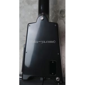 Steinberger GL-7TA / Eliteの詳細画像1