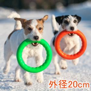 Dear・Children ドッグトレーニング玩具 PitchDog 20 犬 おもちゃ 水遊び リング 輪｜walajin-dog