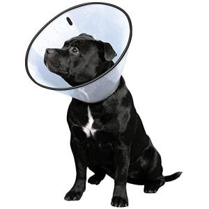 エリザベスカラー ペットカラー Lサイズ Fw 4 犬手作りごはん帝塚山ハウンドカム 通販 Yahoo ショッピング