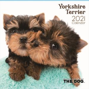 THE DOG カレンダー ヨークシャテリア 2021年