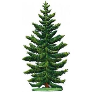 モミの木 苗 苗木 1株 樹高約1m 根巻苗 本物のクリスマスツリー