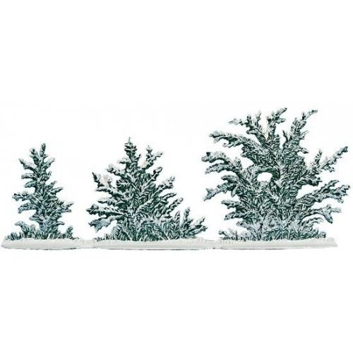 冬の草のしげみ