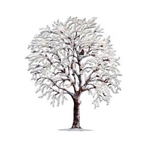 冬の木｜wald