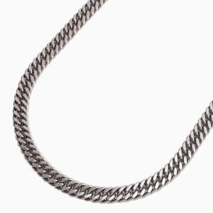 Phiten（ファイテン） 炭化チタンチェーンネックレス 45cm【公式