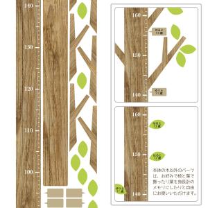 <人気商品>身長計 ウォールステッ...の詳細画像5