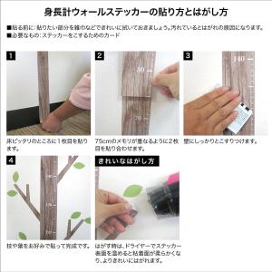 <人気商品>身長計 ウォールステッ...の詳細画像5