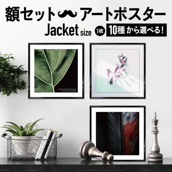 【フレーム付 アートポスター 正方形 BOTANICAL MODERN】  モノクロ モダン 白黒 ...