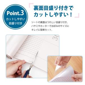 猫ちゃんの爪とぎ防止 壁 保護シート 4m 壁...の詳細画像5