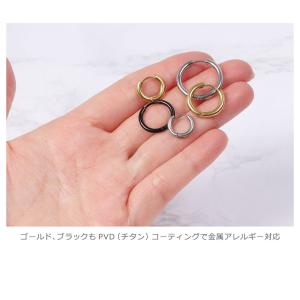 ピアス レディース メンズ 金属アレルギー対応...の詳細画像3