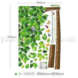 ウォールステッカー 壁 木 緑木と蝶 貼っては...の詳細画像3