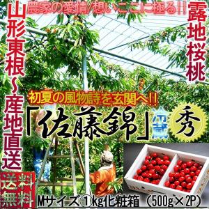 ●産地直送 佐藤錦 さくらんぼ 約1kg Mサイズ 山形県産 贈答規格 露地栽培 秀品 化粧箱入り 弾ける食感と甘酸っぱさ！本場で育てた鮮度抜群のギフトフルーツ