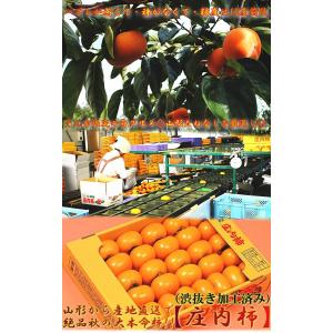 産地直送 庄内柿 シャーベット 約1.7kg ...の詳細画像1
